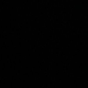 Meet your Posher, Adalee